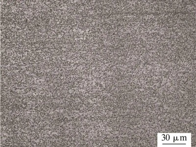 Complex Phase Steels Complex Phase Steels